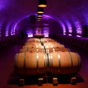 娛樂｜七月澳門開唱