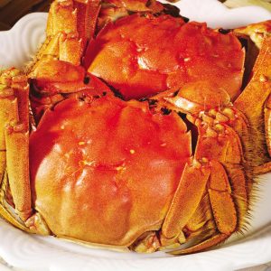 購物｜滿滿少女心，韓國藝術時尚品牌「YOUK SHIM WON」登陸澳門