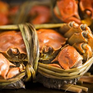 娛樂｜澳門十一月開唱