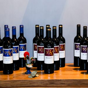 購物｜節日的芬芳－LUSH聖誕限量禮品