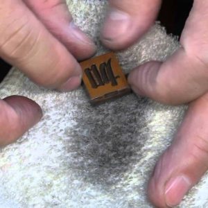 購物 | 香味？要小眾！