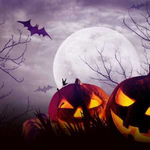 娛樂｜永恒的瘋馬