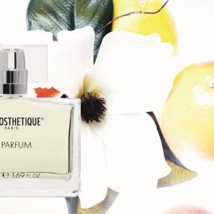 娛樂｜「賞金尋龍」大型恐龍互動展