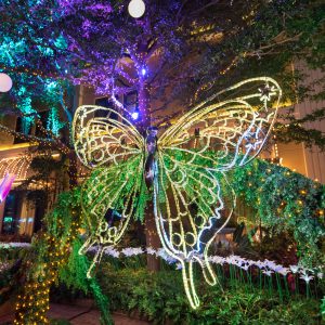 購物｜Aqua Di Vita趕走秋燥 給你水潤傾瀉的秋日