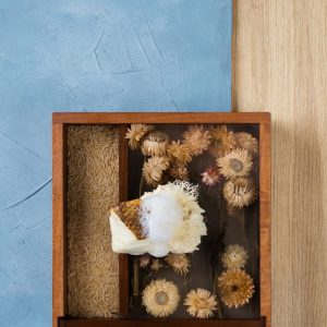 美食 | 凱悅「美味悅享」廚藝大賽區域半決賽澳門展開