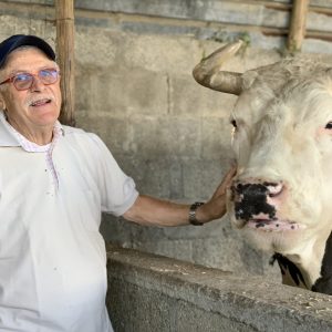 聖誕 | 澳門悦榕庄聖誕節日美饌和限定「悦享佳節」水療旅程